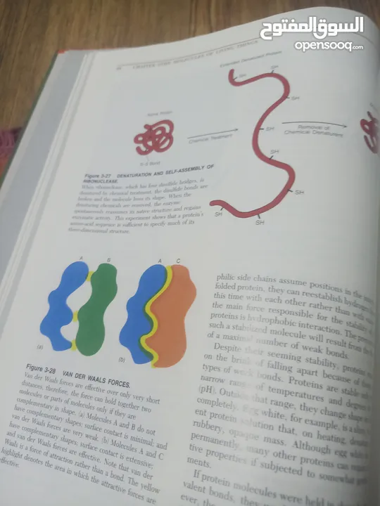 كتاب بعنوان biology