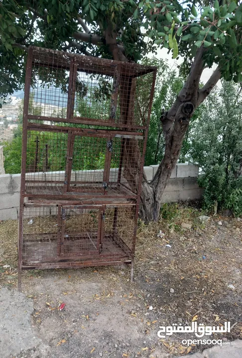 قفص ارانب حمام دجاج