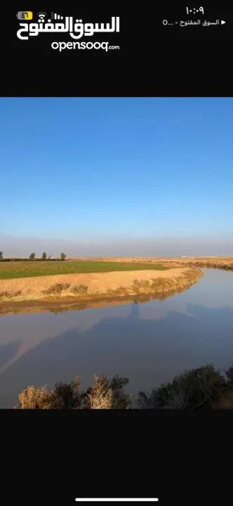 مزرعة زيتون للبيع في الاردن