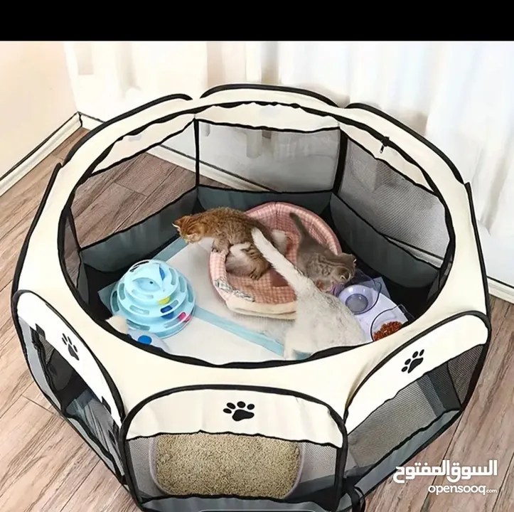 اغراض قطة للبيع غير مستخدمة cat accessories for sale