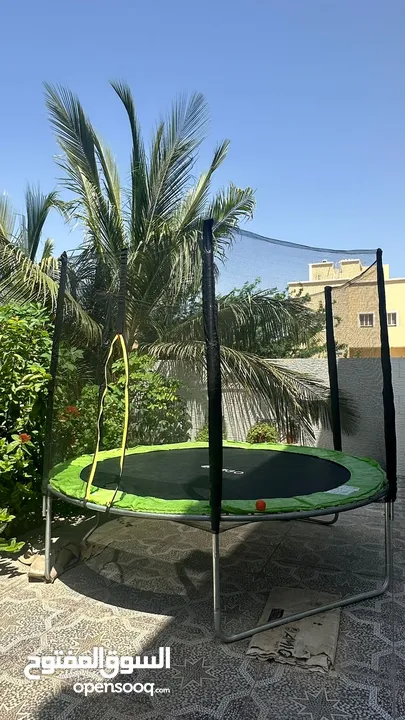 back yard trampoline