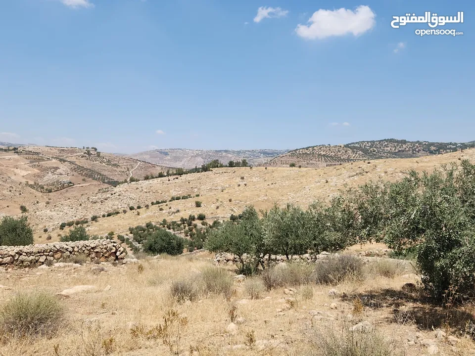 ارض للبيع مميزه في بدر الجديده 4700م ذات اطلاله عاليه في حي الاميرات على شارعين