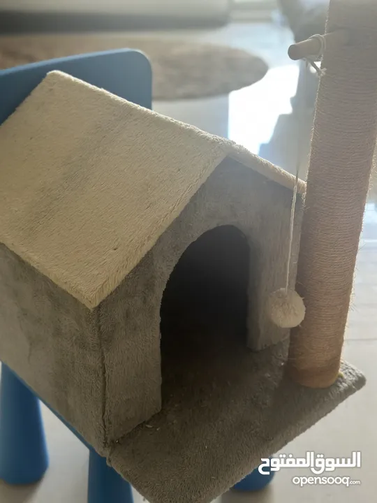 Cat play house