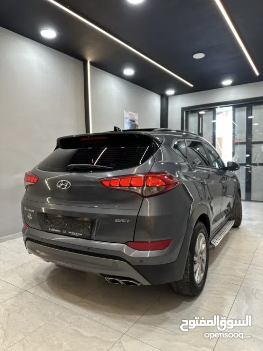 احمد سامي سليط