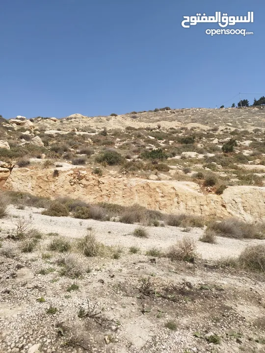 ارض للبيع ( ام رمانه) قريبه جدا من شارع الاردن حيث تبعد عن بن معروف 6 دقائق فقط