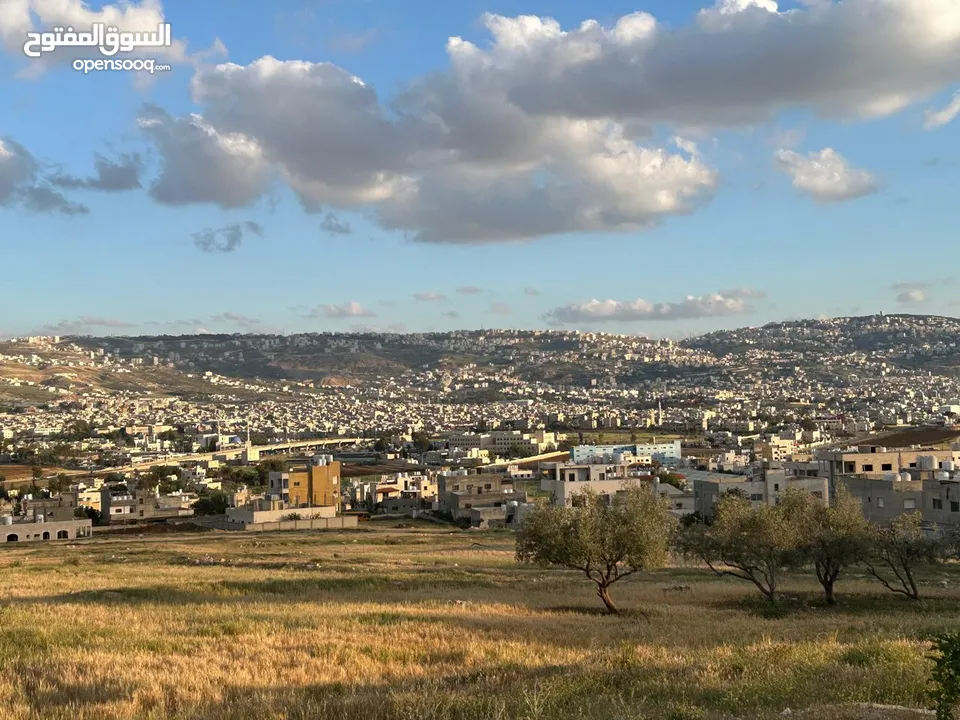 ام الدنانير حوض ابو زعروره 472م سكن ج شارع 12م مربعه واجهه 21م واجهه جنوبيه حي فلل هادئ مرتغعه