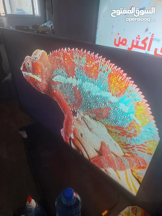شاشة LG  50 بوصة سمارت  ريموت ماوس وأوامر صوتية