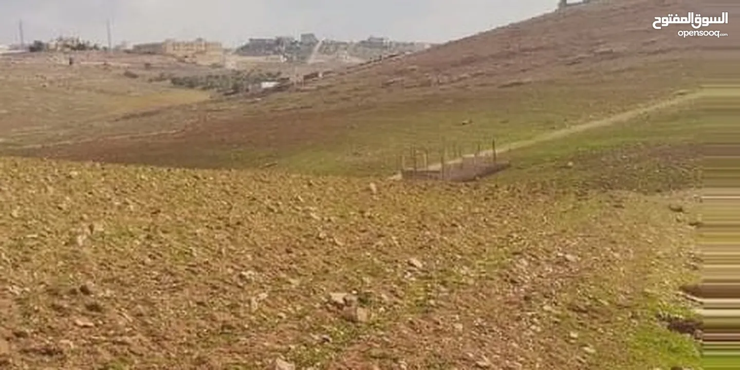 جريبا قرب شفابدران تقسيط نصف الثمن