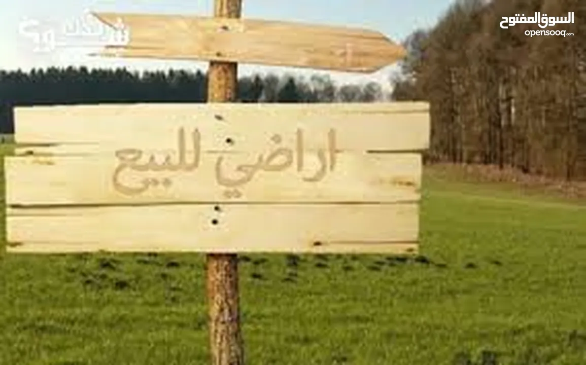 فرصة استثمارية ذهبية – أرض للبيع في روجيب نابلس تصلح لسكن او لمشروع تجاري تصنيف B متوفر كافة الخدمات