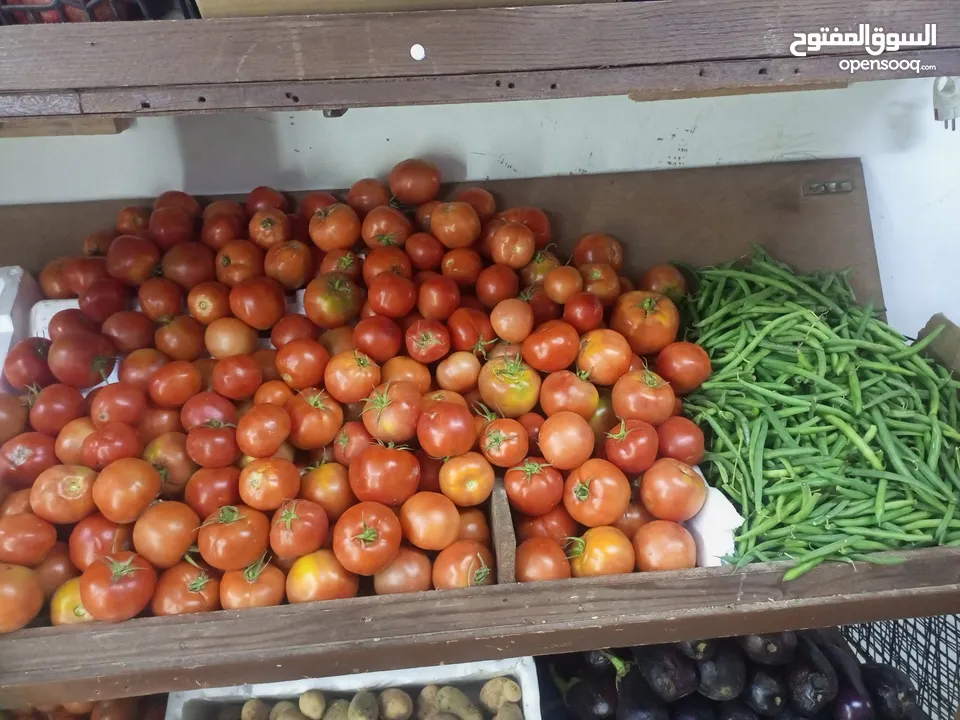 البحث عن شريك مضارب بنسبة ربح أو مقطوع كل شهر