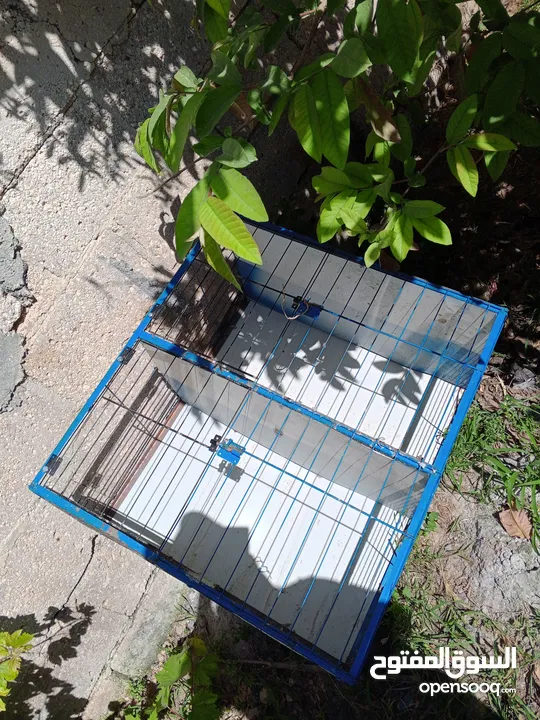 مطبعات سود وهنديات