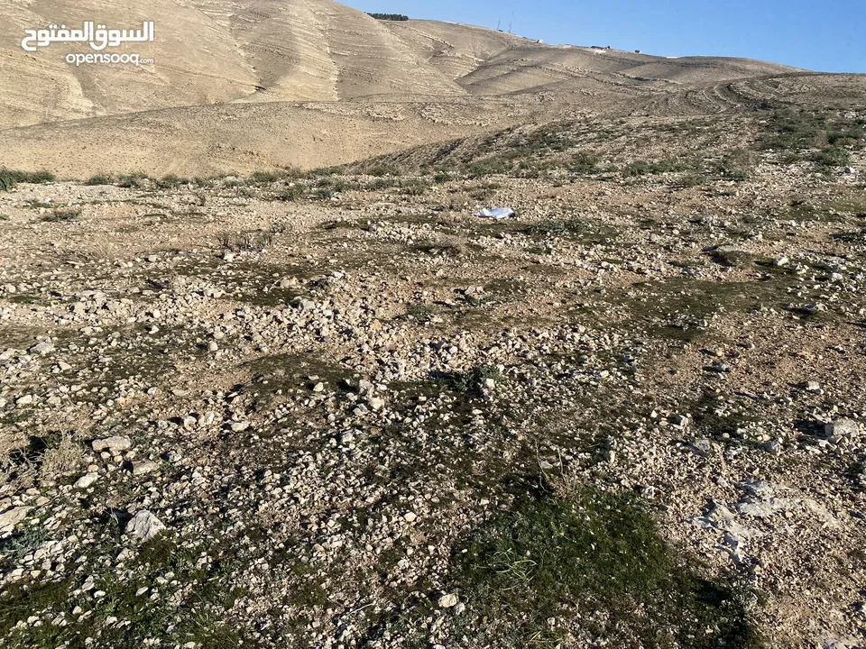 ارض للبيع في مادبا منطقة الفيحاء ومطلع على البحر الميت