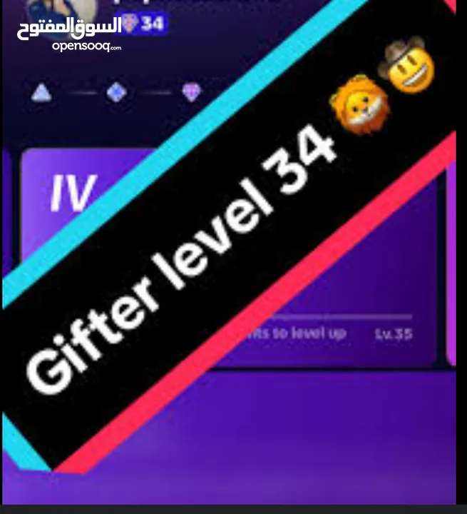 34 Level TikTok ID for sale