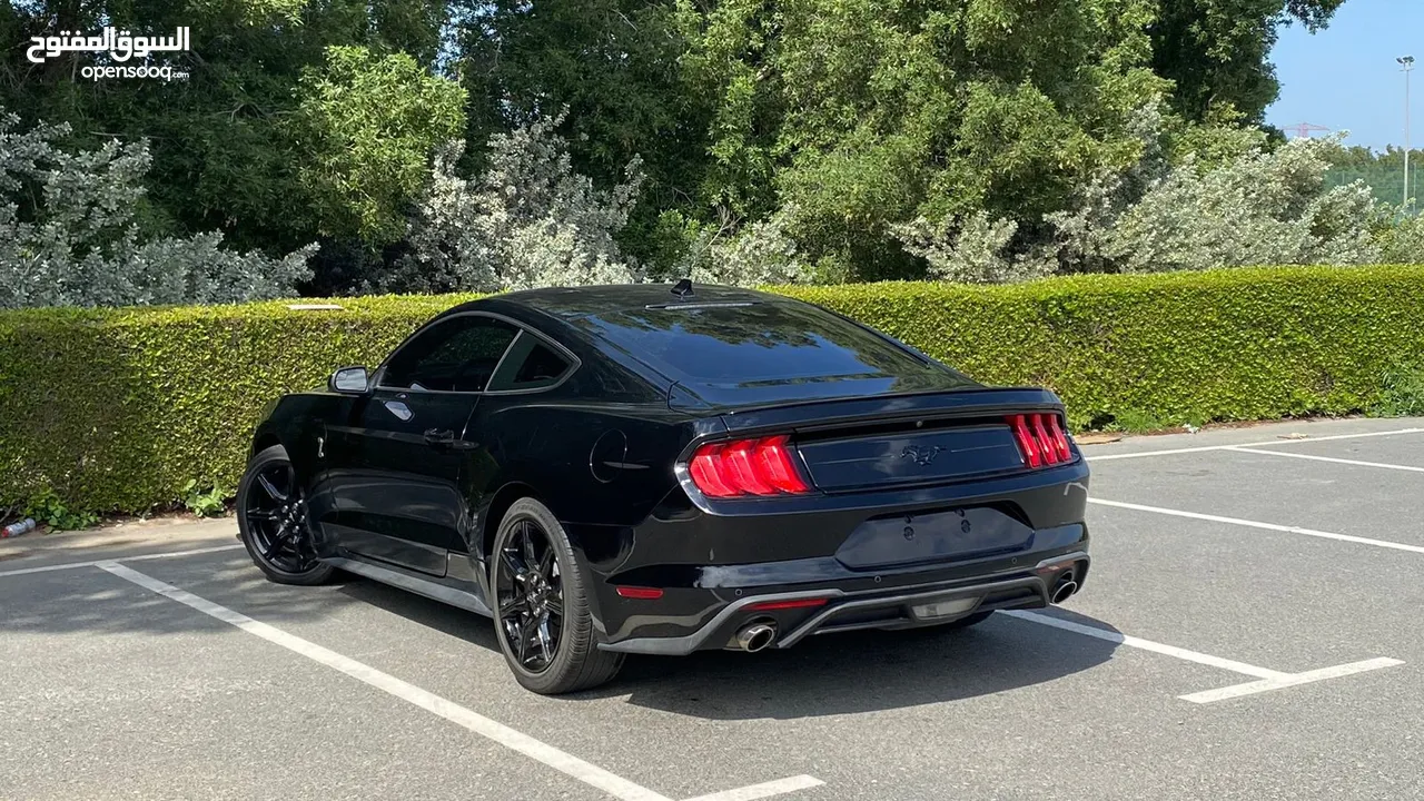 Ford Mustang EcoBoost (S550) 2020