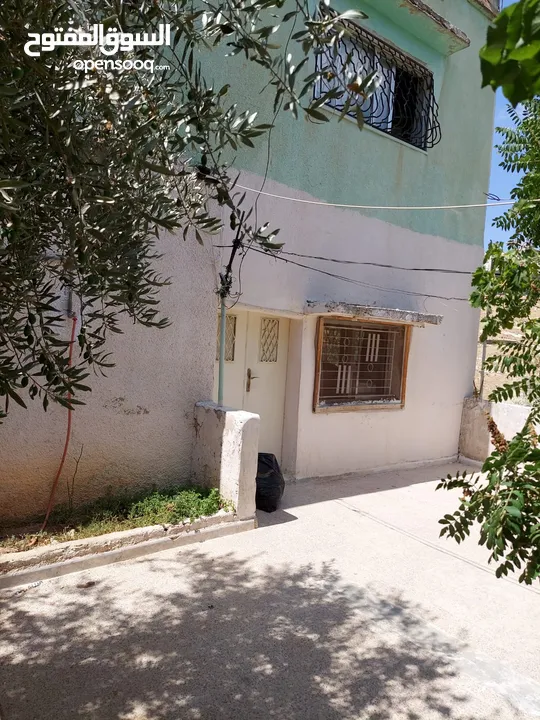 بيت مستقل للايجار 130 متر خمس غرف ومطبخ وحمام لديه برنده كبيره حوله شجر مثمر والمنطقه هادئة 140دينار