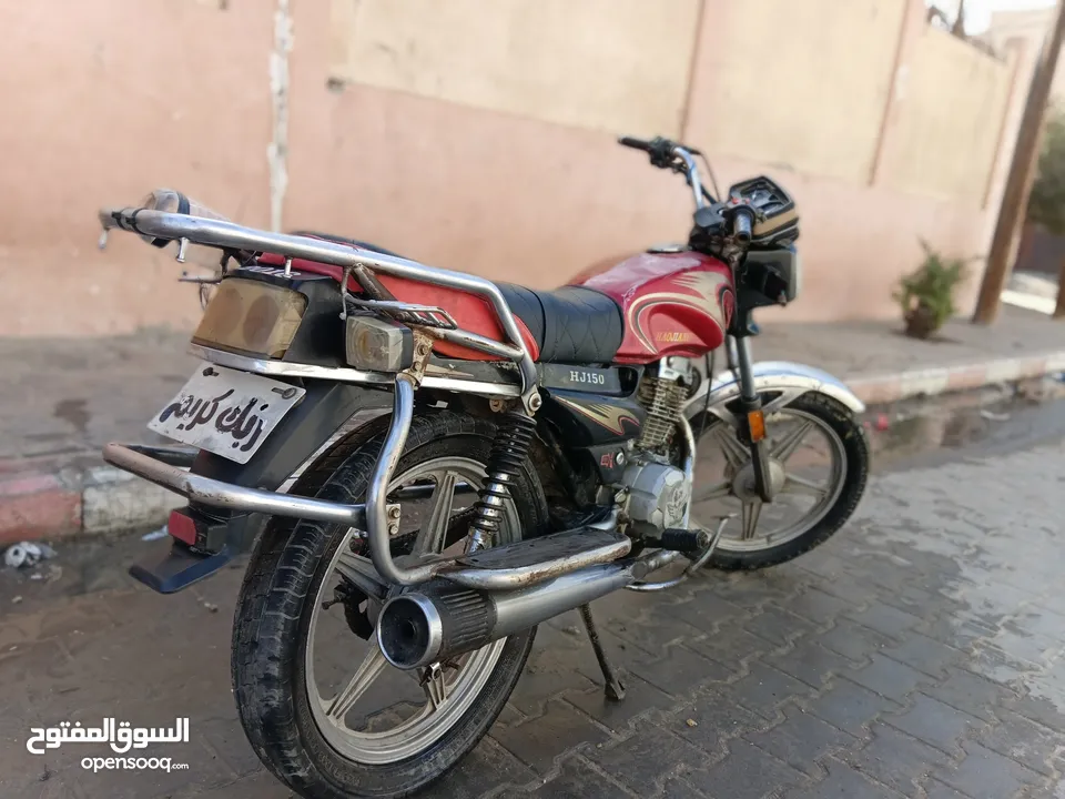 فزبة ضبعة 2016