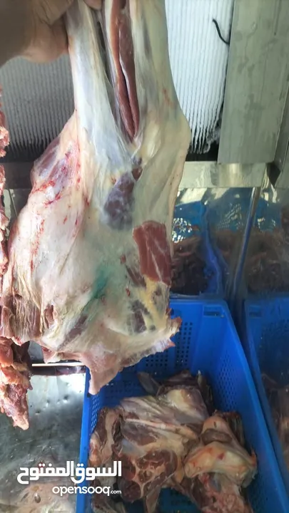 Meat Zone محل اللحوم