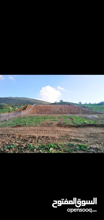 قطعة أرض مميزه للبيع من المالك مباشرة في منطقة  العالوك  قرب سيل الزرقا مساحة 3.5 دونم