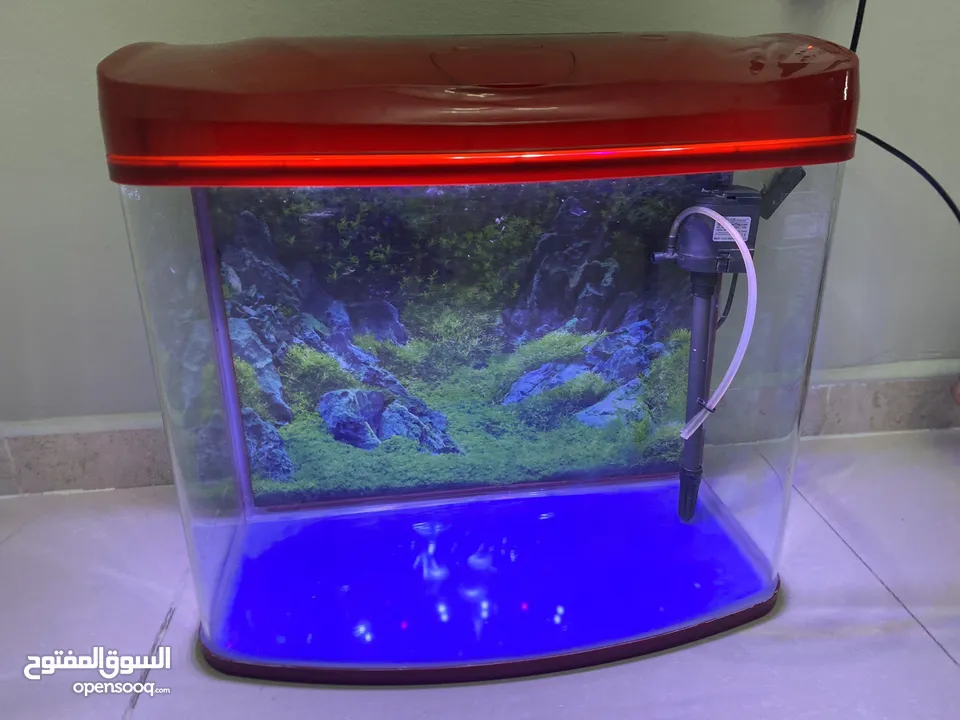 Fish tank with led light +water pump