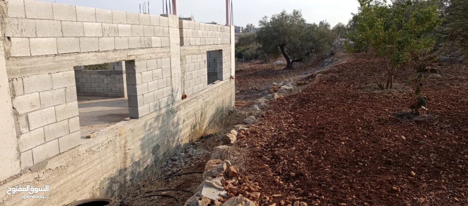 قطعة ارض مع بيت عظم للبيع