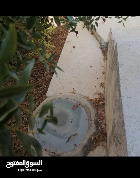 بيت مستقل طابقين / أجمل اطلالة على جبال عجلون في لواء كفرنجه ( اقرأ الوصف بالإعلان)...