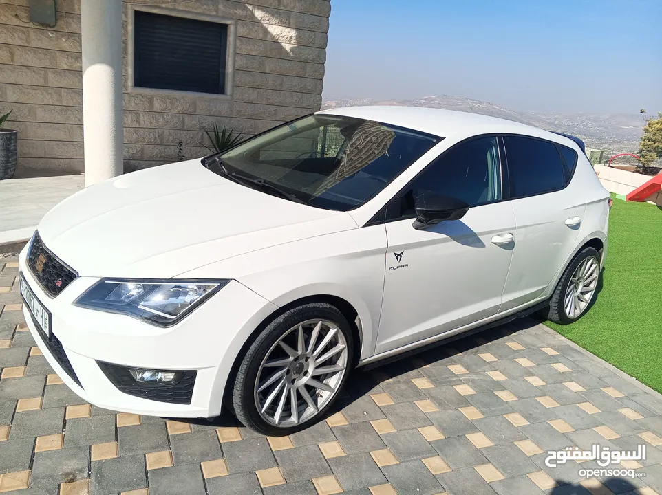 سيت ليون اتوماتيك فحص نخب طلاء الشركة