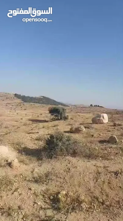 قطعة ارض شرق جرش مرويه من بئر ارتوازي مطله ومرتفعه بسعر مغري متوفر أكثر من 50 قطعه في نفس المنطقه