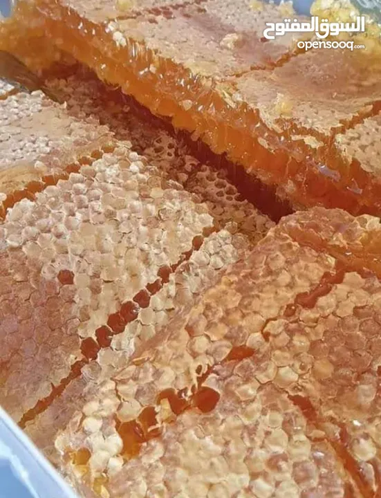 عسل الظاهر  للعسل البلدي الأصلي ومنتجات النحل