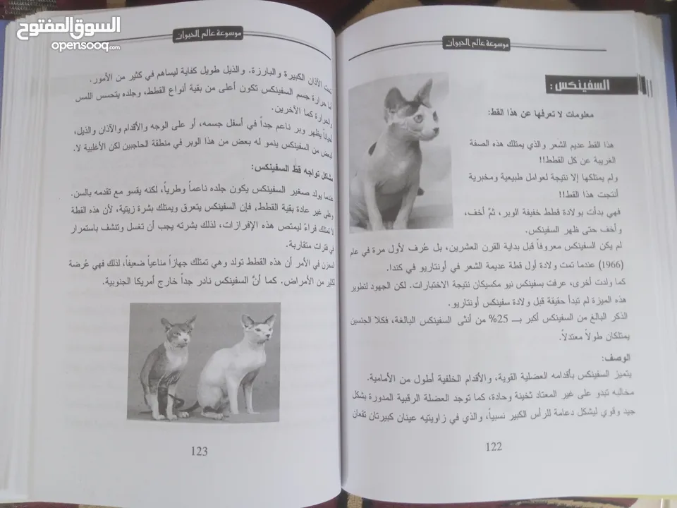 250 نسخه من كتاب عالم الحيوان بسعر حرق