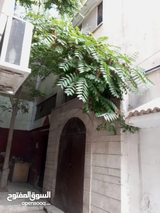 عمارة وسط السوق التجاري بين شارع السعادة وشارع الملك عبدالله