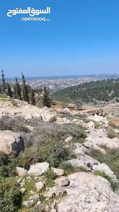 ارض للبيع من المالك مباشرة منطقة حلحول - الصفا مرتفعة ومطلة