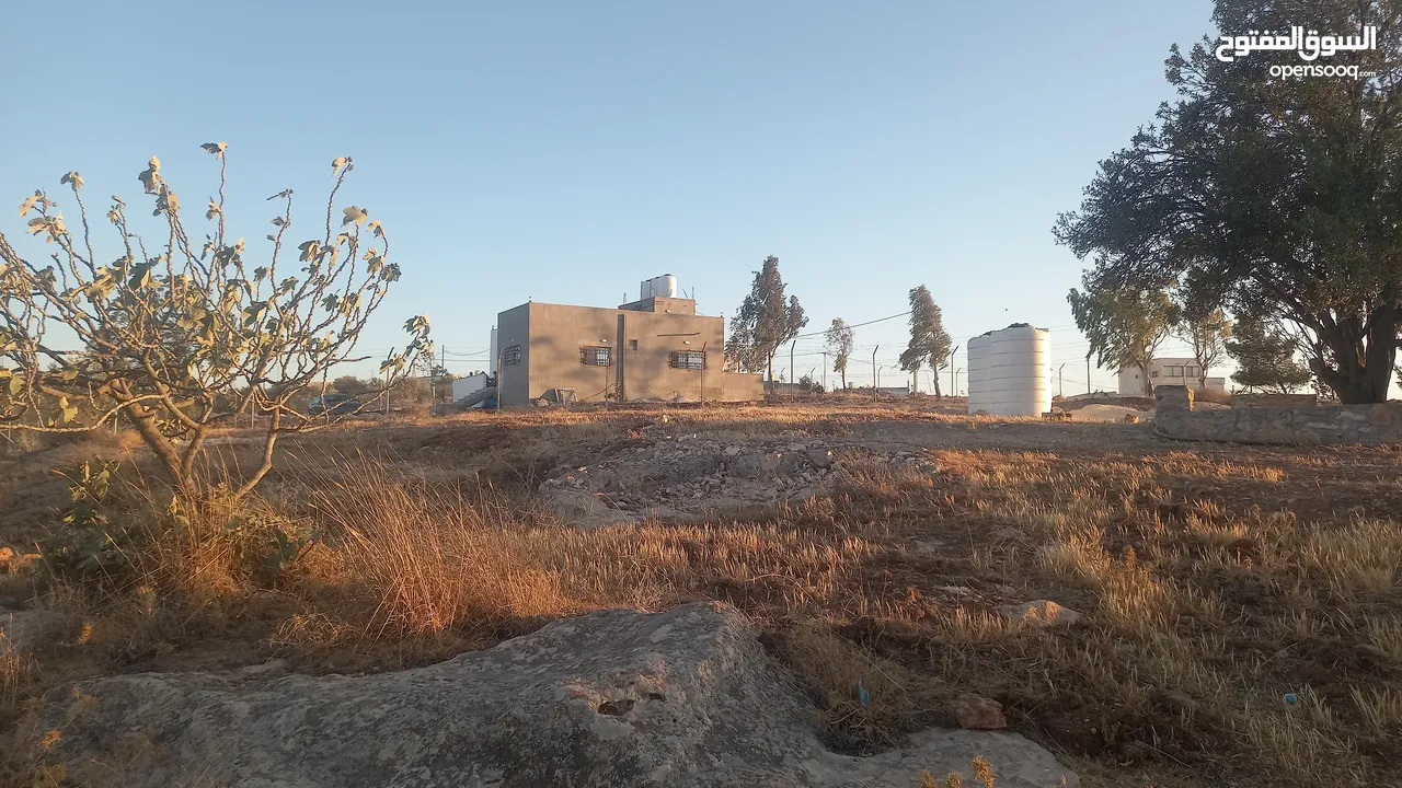 أرض داخل التنظيم للبيع