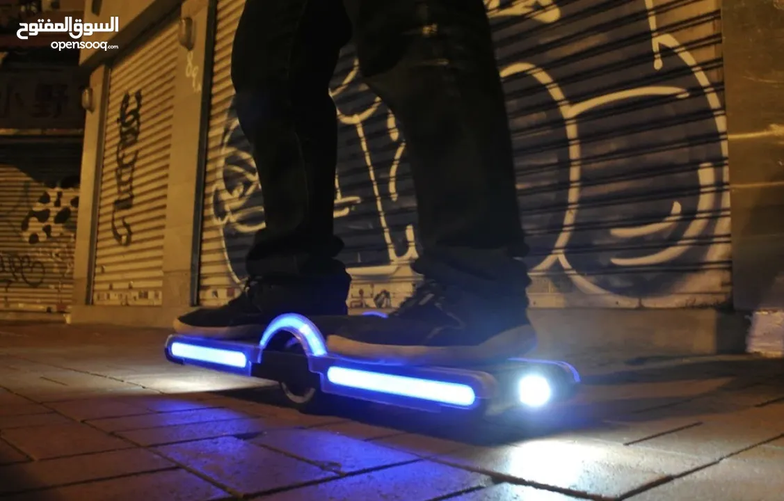 Electric Skateboard/Hoverboard 36v