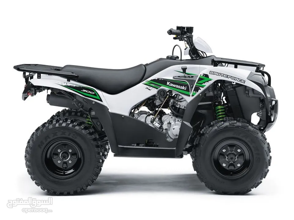 Kawasaki BRUTE FORCE 300