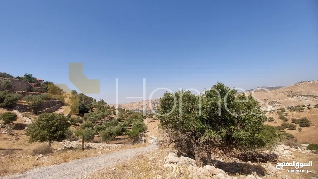 ارض للبيع تصلح للاستثمار في عمان - ابو السوس بمساحة 3400 م