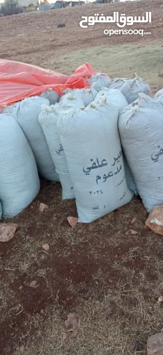 تبن أحمر بيقا البيع