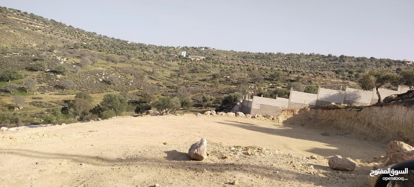 العالوك بيرين