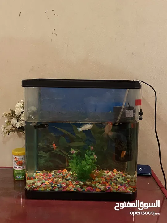 Aquarium fish tank with filter