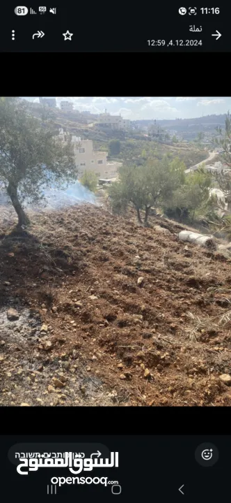 ارض نص دونم في بتير، عالية ومطلة تصنيف بي