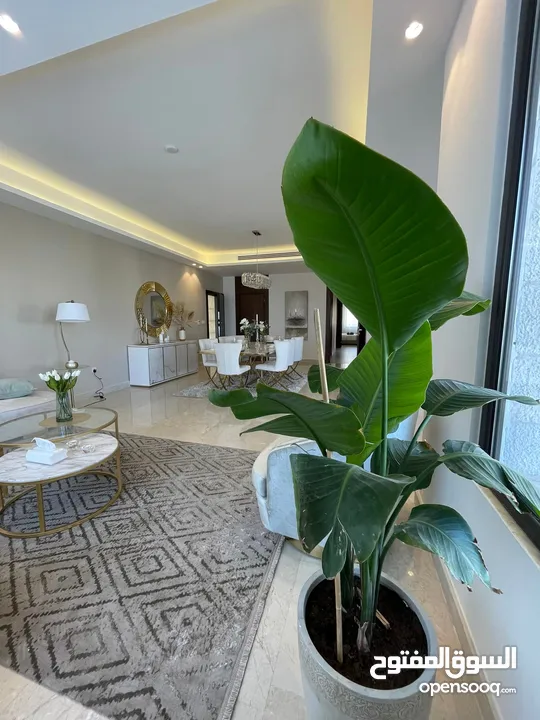 شقة مفروشة للإيجار 234م2 ( Property 15907 ) سنوي فقط