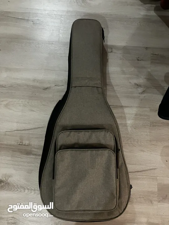 Guitar case