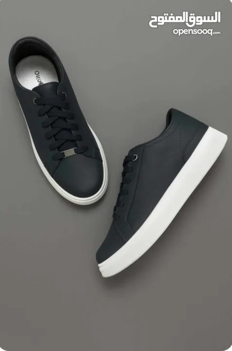 البيع بالجملة فقط