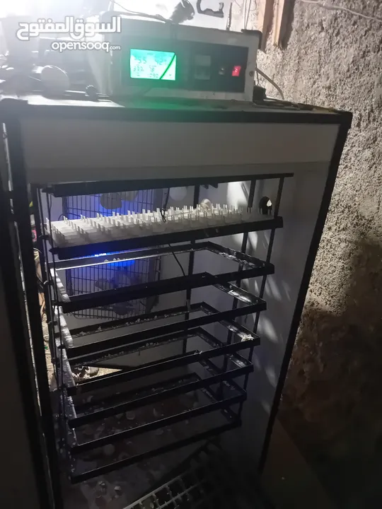 فقاسات بيض 700بيضة