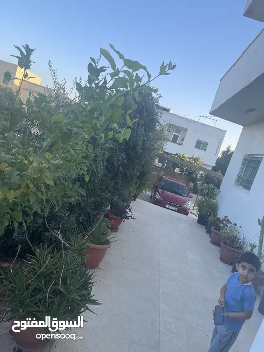 ارض دونم مع بيت ارضي وبيت طابقين