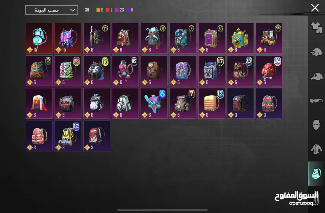 حساب ببجي عالمية LEVEL 77 بسعر مغري