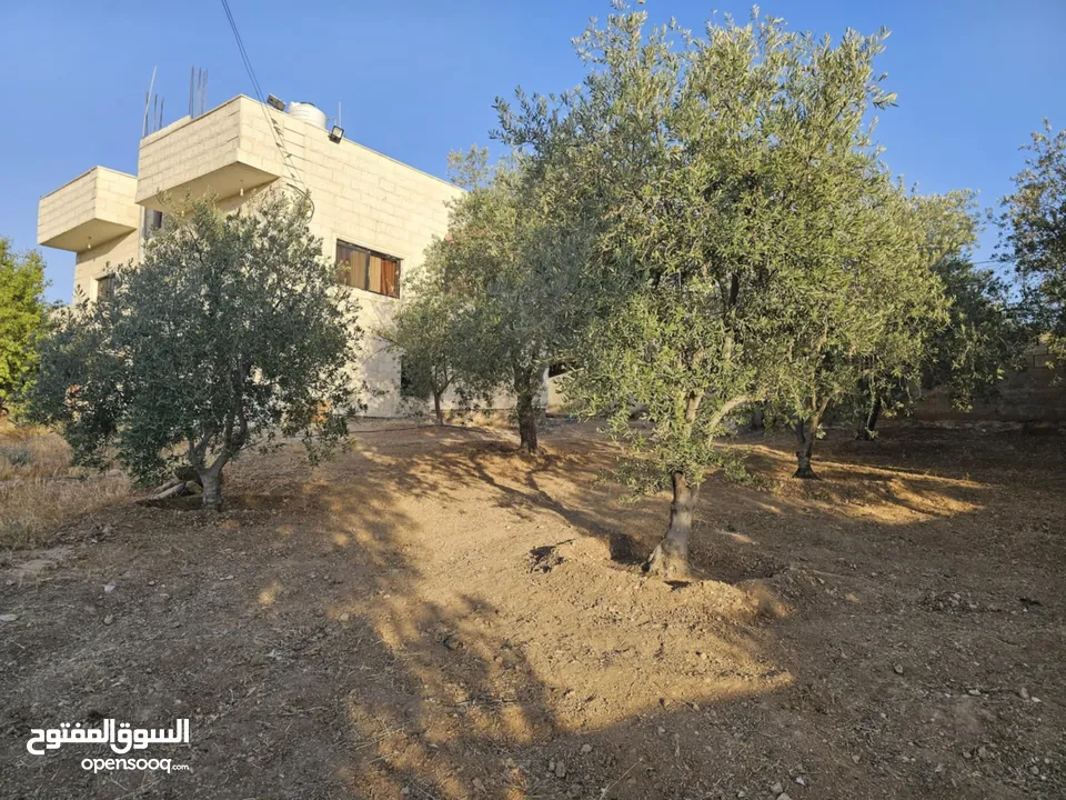 منزل مستقل لبيع في ذيبان