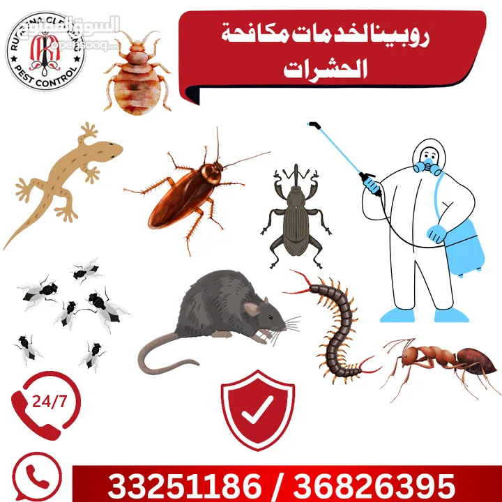 Book your services Rubeena Pest Control special offer just only 21 BD ( خدمات مكافحة الحشرات)