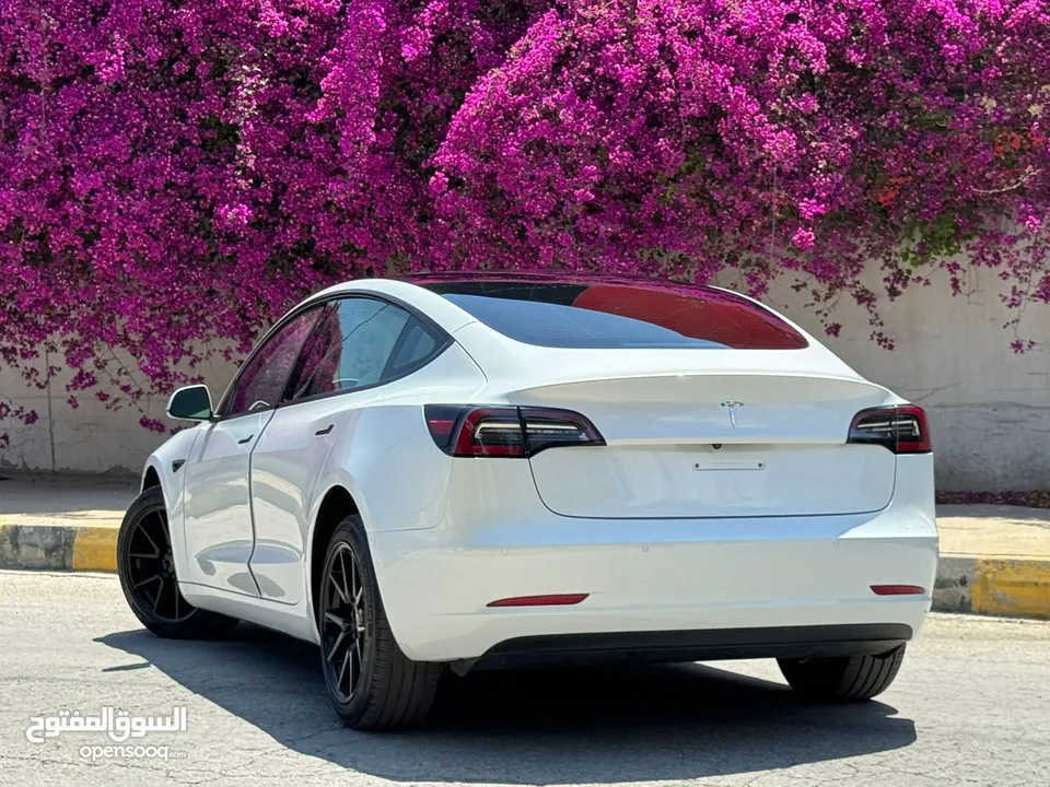 Tesla Model 3 Standerd Plus 2021 تيسلا فحص كامل بسعر مغررري جدددا