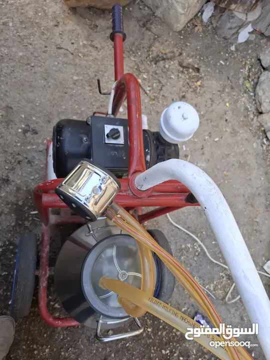 حلابة ابقار نضيفه جدا ولا غلطه