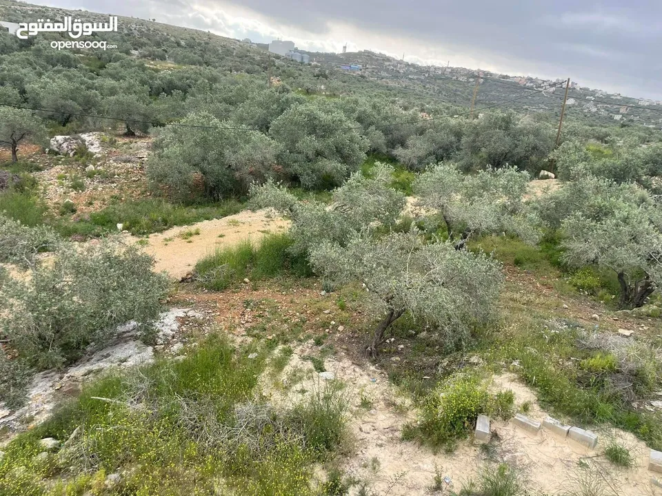 منزل قيد الإنشاء جاهز منه غرفة وحمام وبرندة على قطعة ارض 3250 متر فيه بئر ماء مخدوم ماء وكهرباء